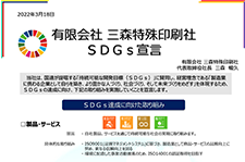 MSP_ SDGS