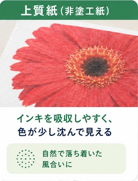 マットコート紙に印刷した赤い花の落ち着いた発色と半光沢のイメージ